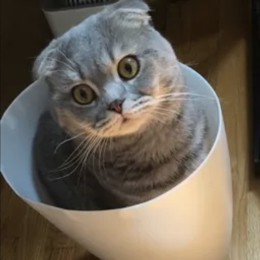 Kappa's Discord avatar